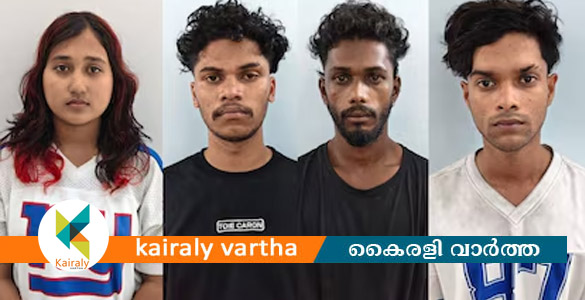മലപ്പുറത്ത് എംഡിഎംഎയുമായി വനിതാ യൂട്യൂബറടക്കം നാലുപേർ അറസ്റ്റില്&zwj;