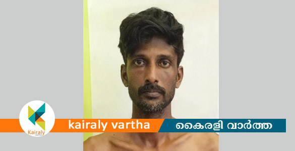 അകലക്കുന്നത്ത് വീട് കുത്തിത്തുറന്ന് മോഷണം; പ്രതി റിമാൻഡിൽ