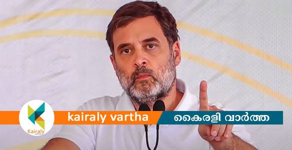 ഗർഭിണിയായ മാധ്യമപ്രവർത്തകയെ തള്ളിയിട്ടെന്ന പരാതി; രാഹുൽ ഗാന്ധിക്ക് സുപ്രീം കോടതി നോട്ടീസ്