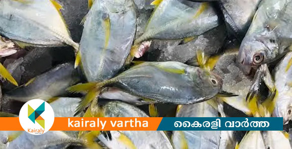 വര്&zwj;ക്കലയില്&zwj; വറ്റ മത്സ്യം കഴിച്ച രണ്ടുപേർ ഗുരുതരാവസ്ഥയില്&zwj;; നിരവധിപ്പേര്&zwj; ചികിത്സയില്&zwj;